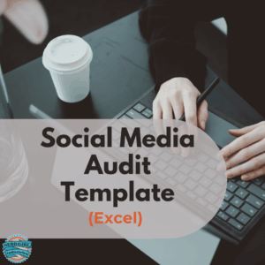 Social Media Audit Template Product Image (Excel)
