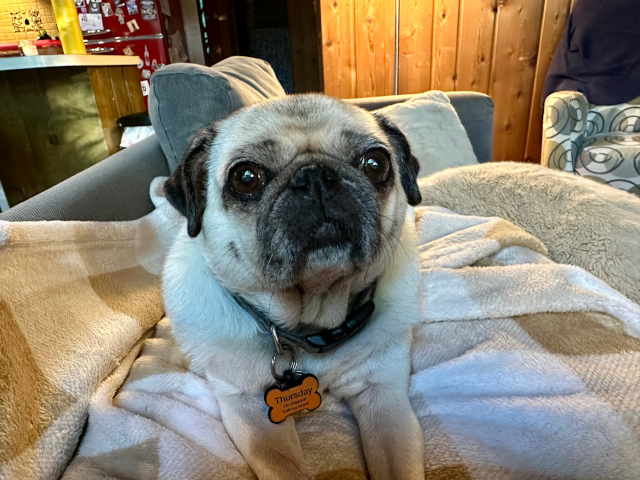 ThursdayStare September2025