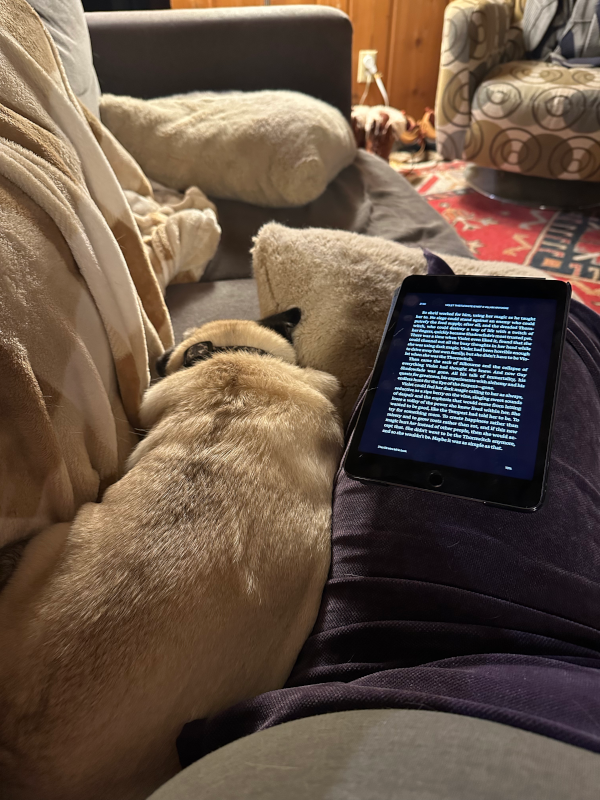 ThursdayiPad February2026